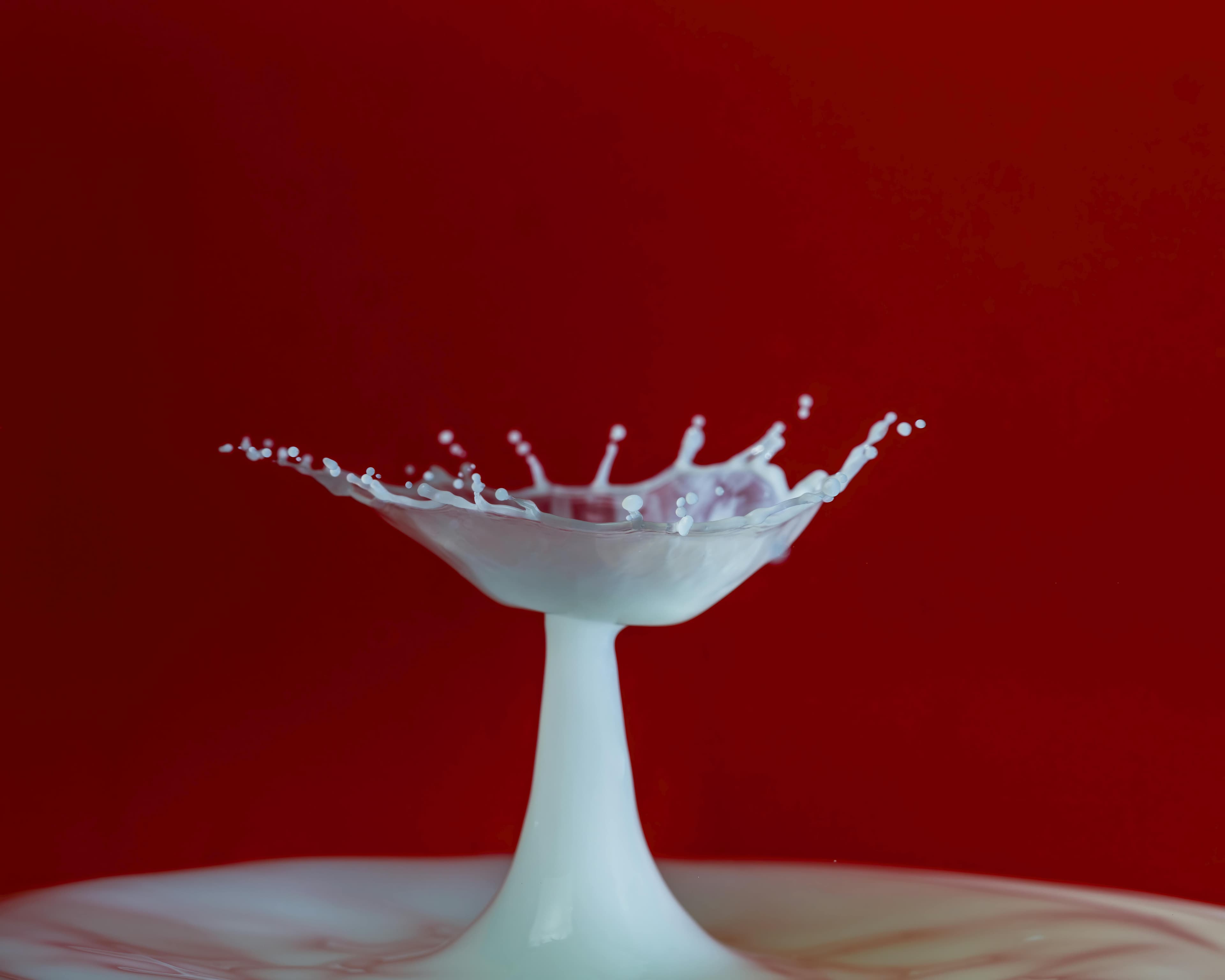Motion design 3D